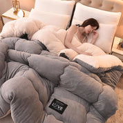 Winterbeddengoed Dikke dekbeddeken Verdikt warm flanelfleece dekbed voor koude nachten Set Beddekbedden Dekbedden de dekens