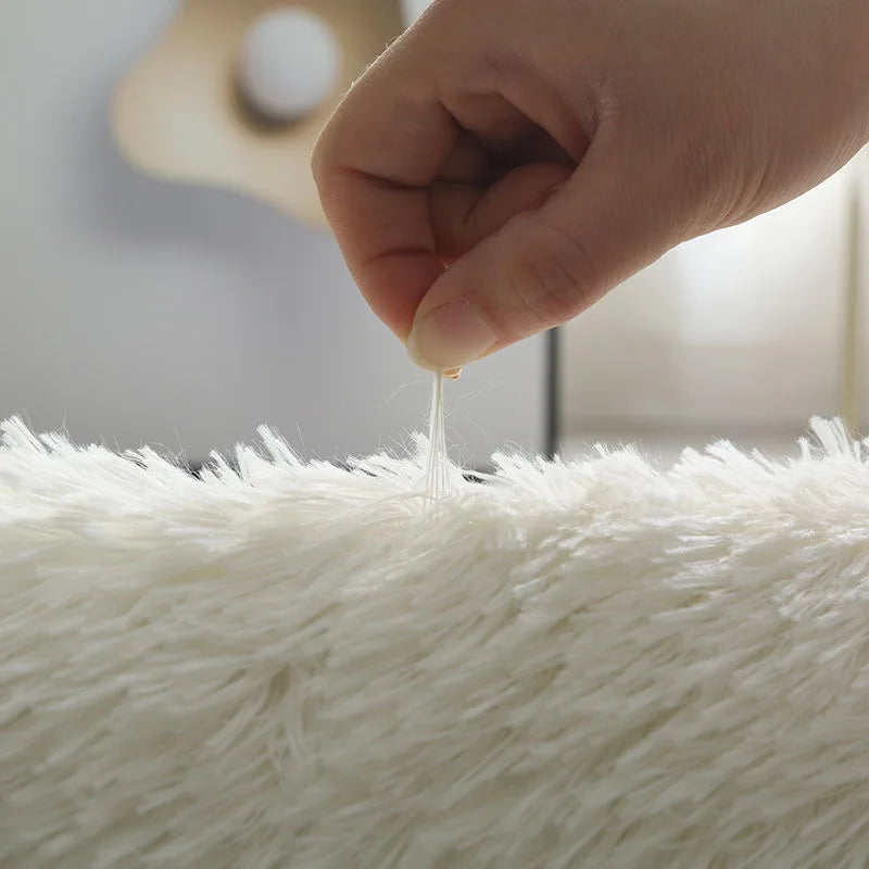 Wit Pluizig Hal Tapijt Moderne Woonkamer Slaapkamer Home Decor Grote Matten Verdikte Antislip Meisje Kinderkamer Roze harige Tapijt